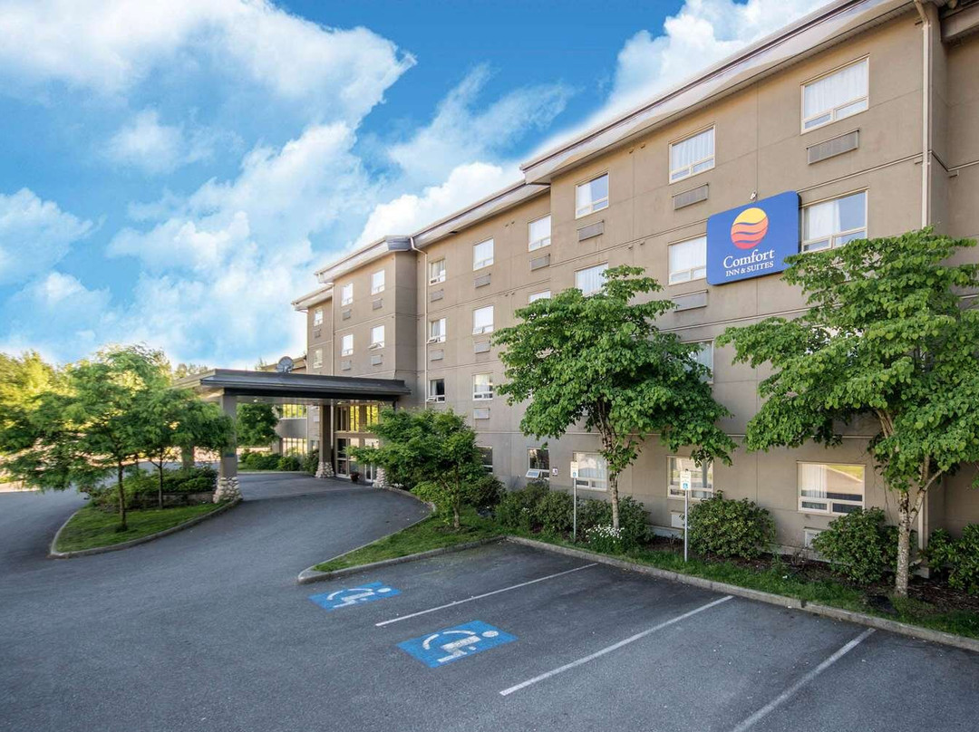 Aldergrove酒店住宿-Comfort Inn & Suites Langley