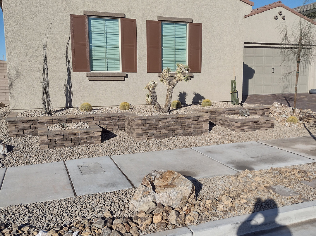 Cactus Joe's Blue Diamond Nursery-拉斯维加斯必去景点