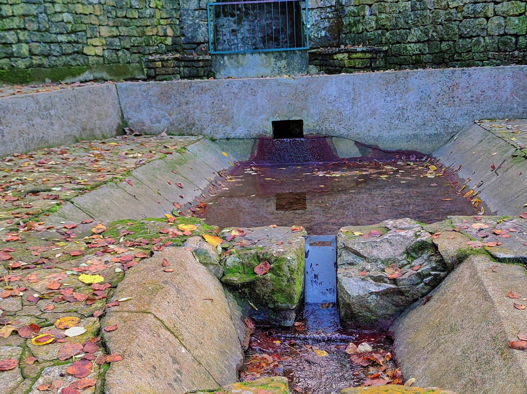 Lavoirs Et Fontaine De Sciecq景点图片
