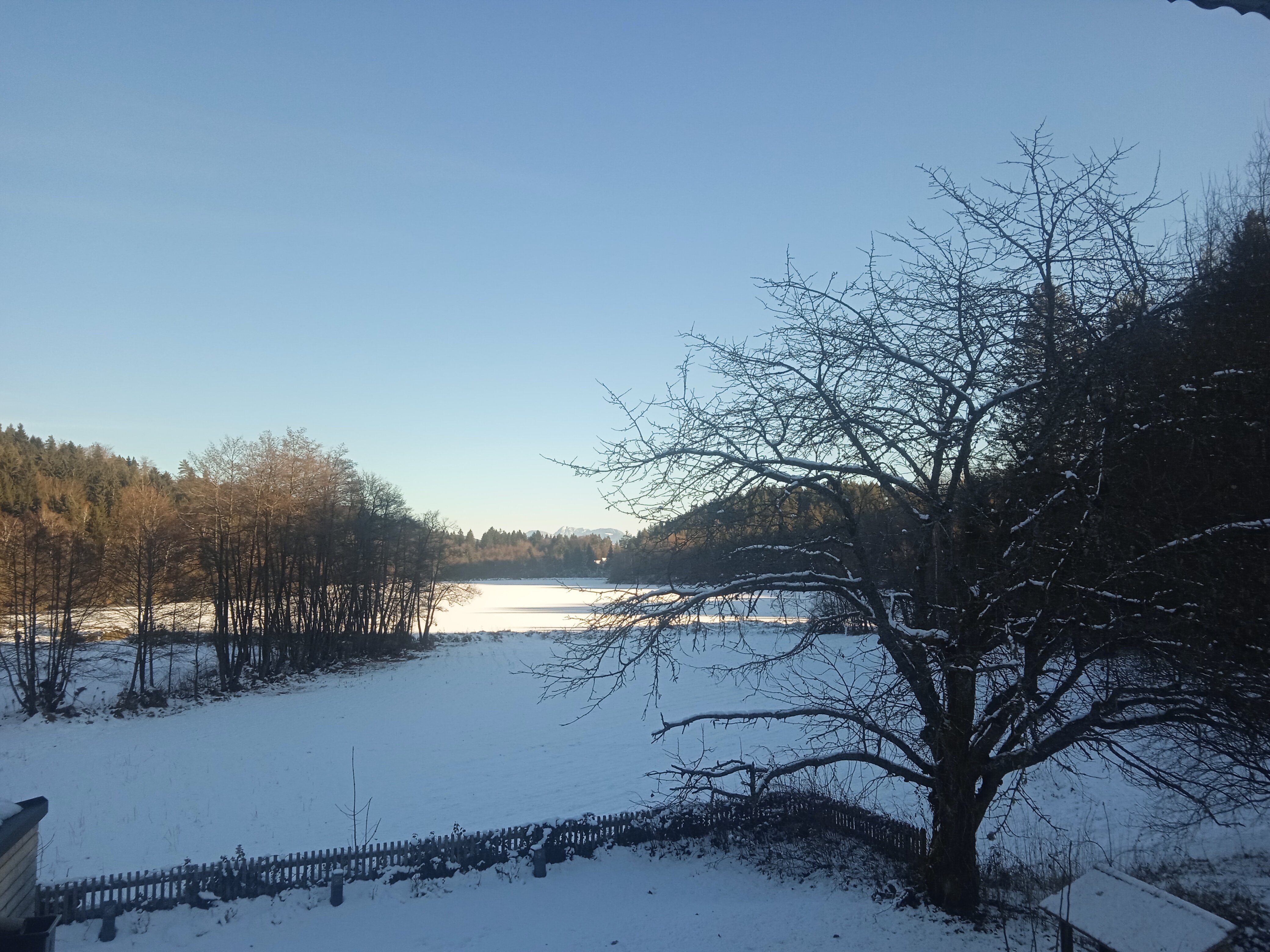 Seehof Feidig-客卧