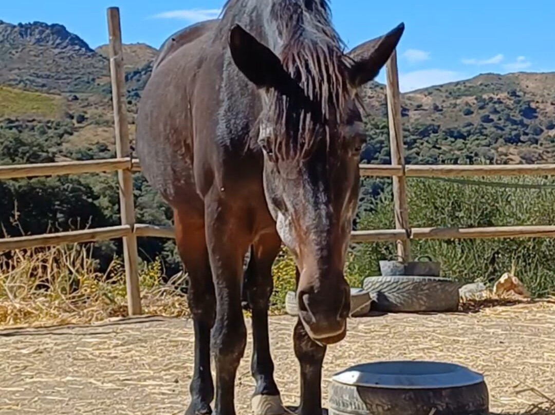 Time and Space Equine Education Sanctuary-Atajate必去景点