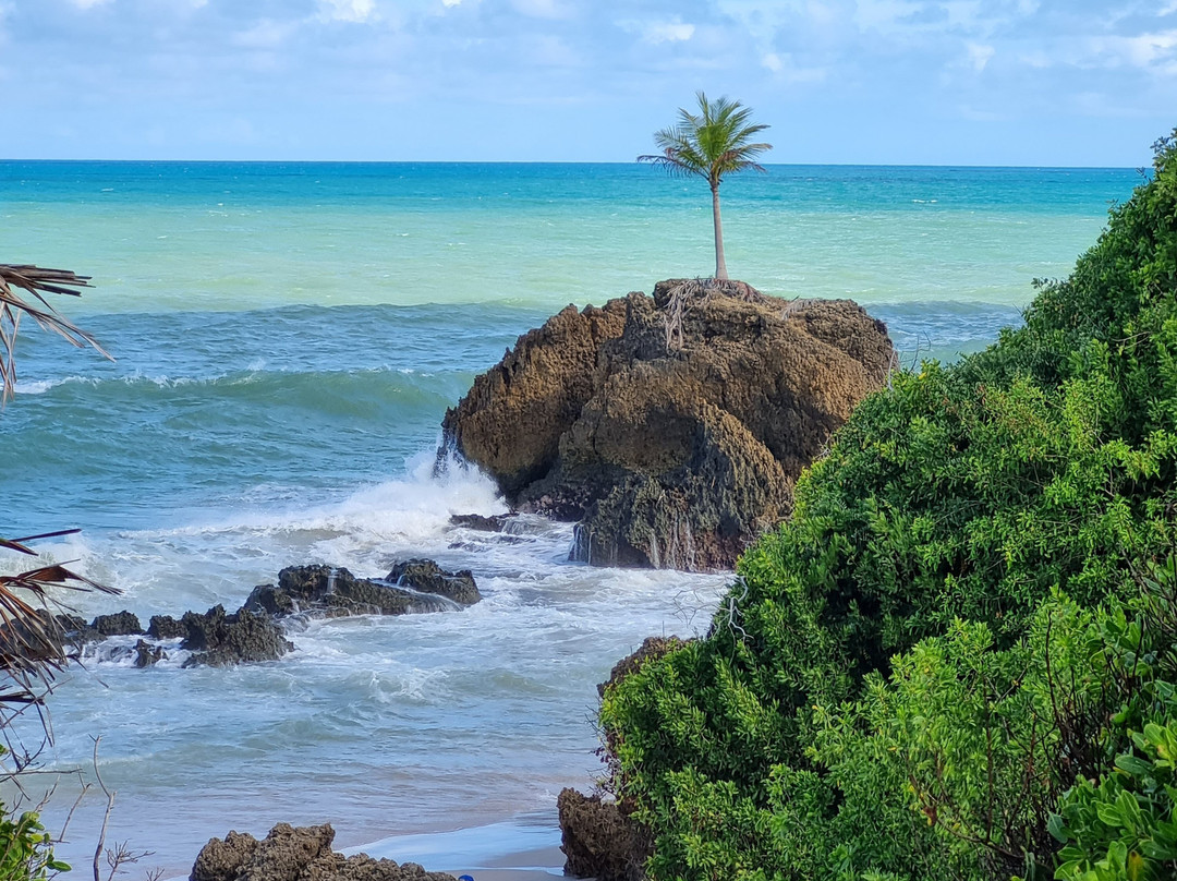 PNP - Passeios na Paraíba-Joao Pessoa必去景点