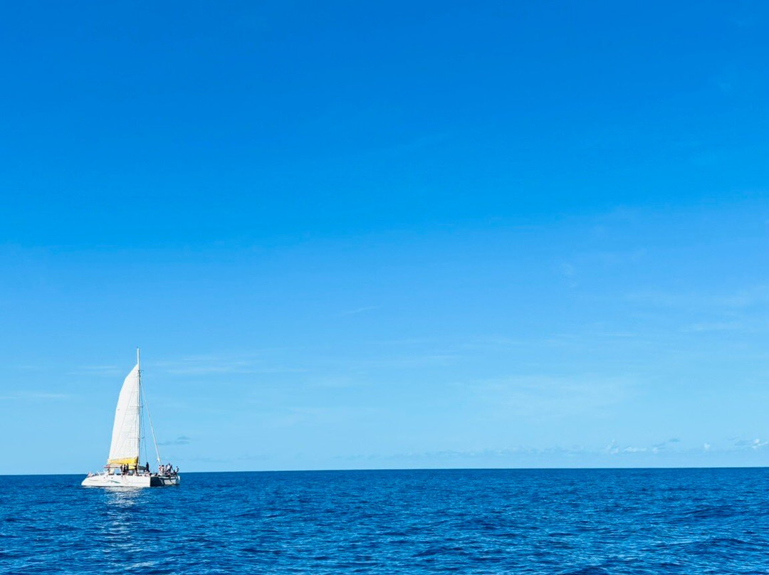 Captain Toch-Le Carbet必去景点