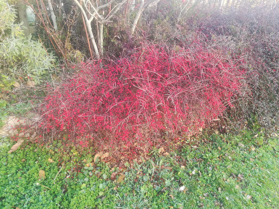 Ancaiano酒店住宿-Agriturismo Poggio ai Legni