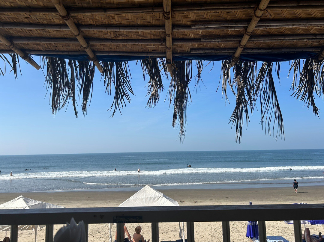 Octopus Surf School Goa-Morjim必去景点