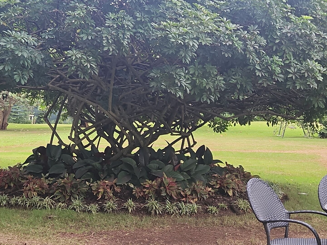 Hotel Pinar Dorado主图