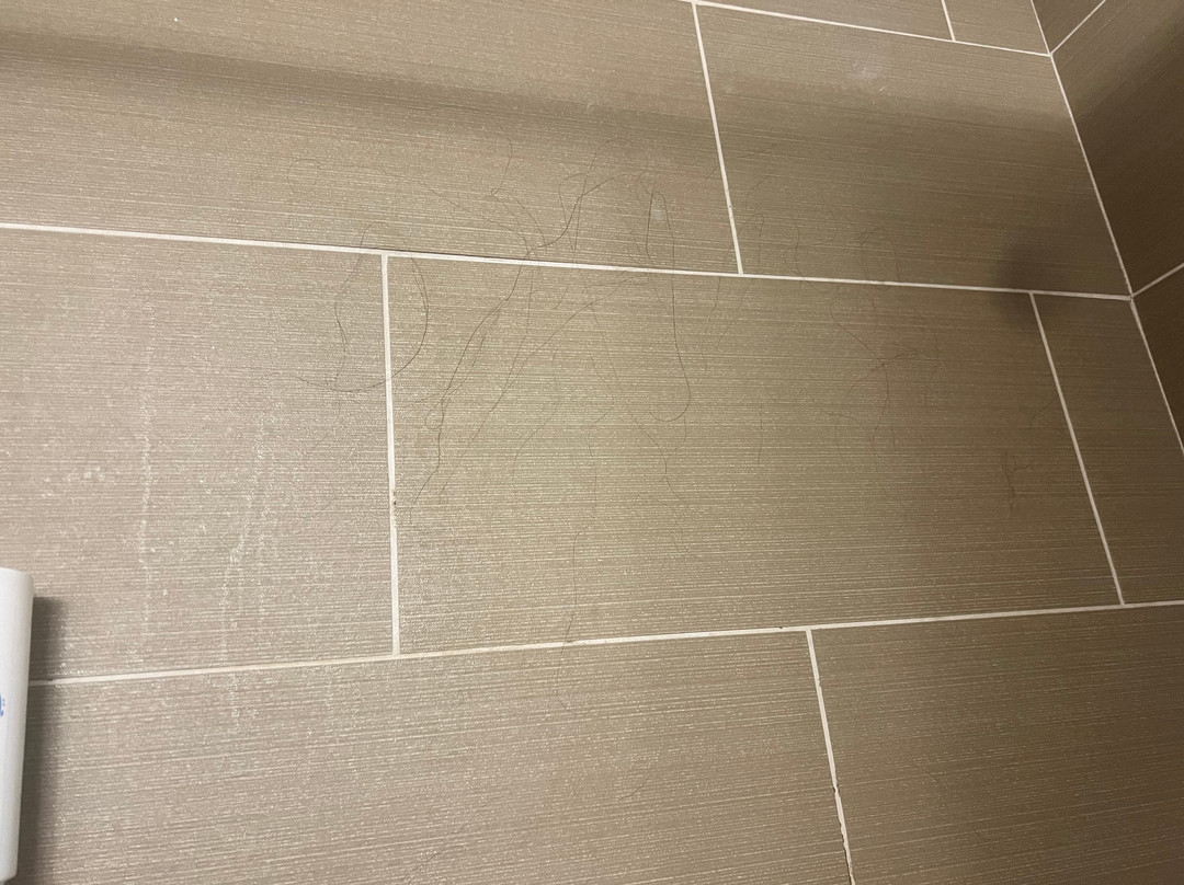 Comfort Inn & Suites Santee I-95主图