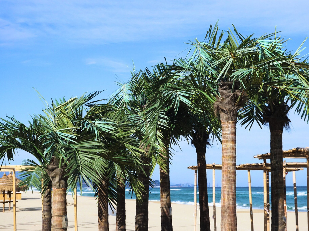 Surfyybeach-襄阳郡必去景点