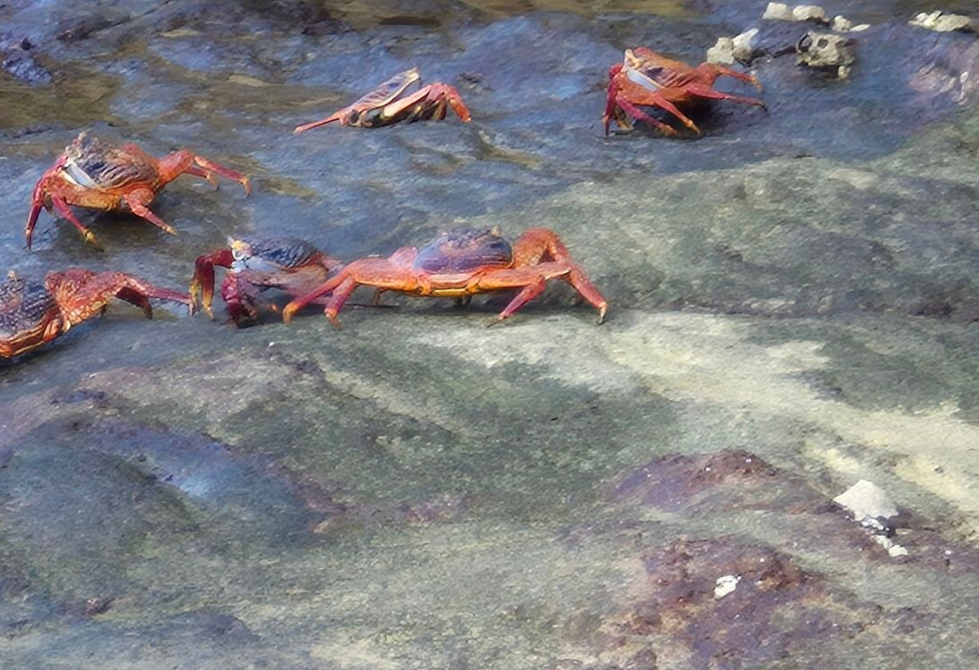 Let's Go to Ecuador-基多必去景点