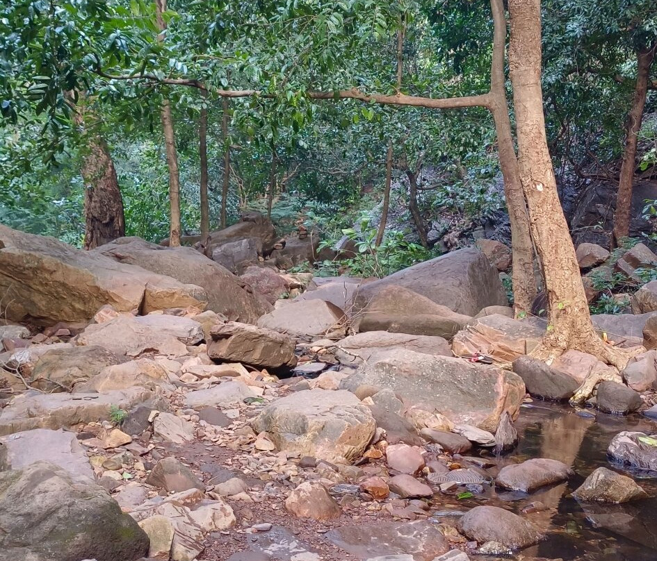 Jwala Narasimha Swami Temple景点图片