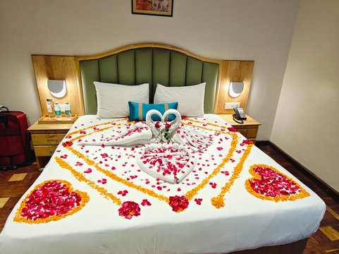 Bravia Hotel Manali主图