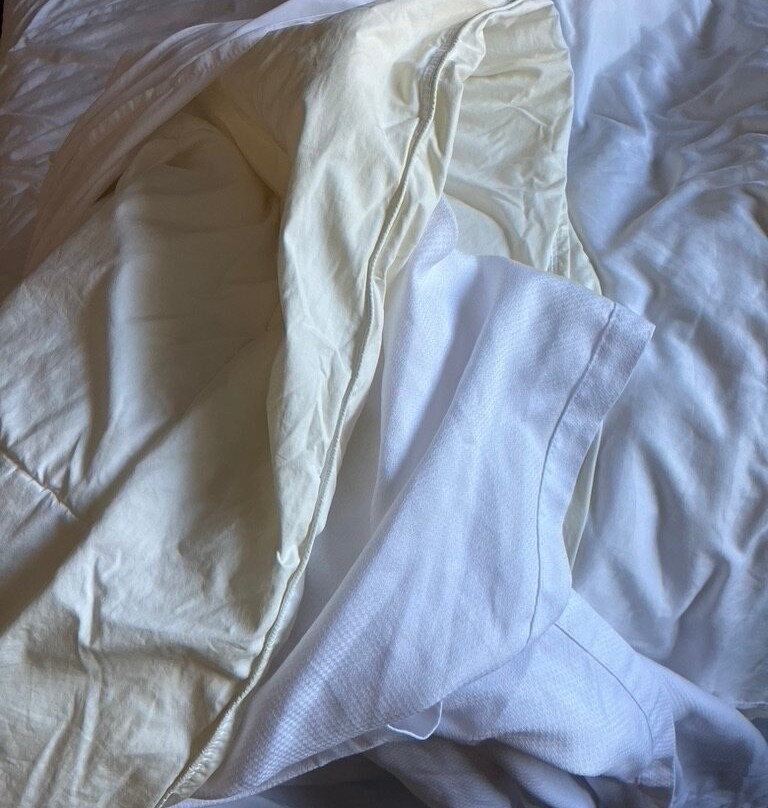 Comfort Inn Edmundston主图