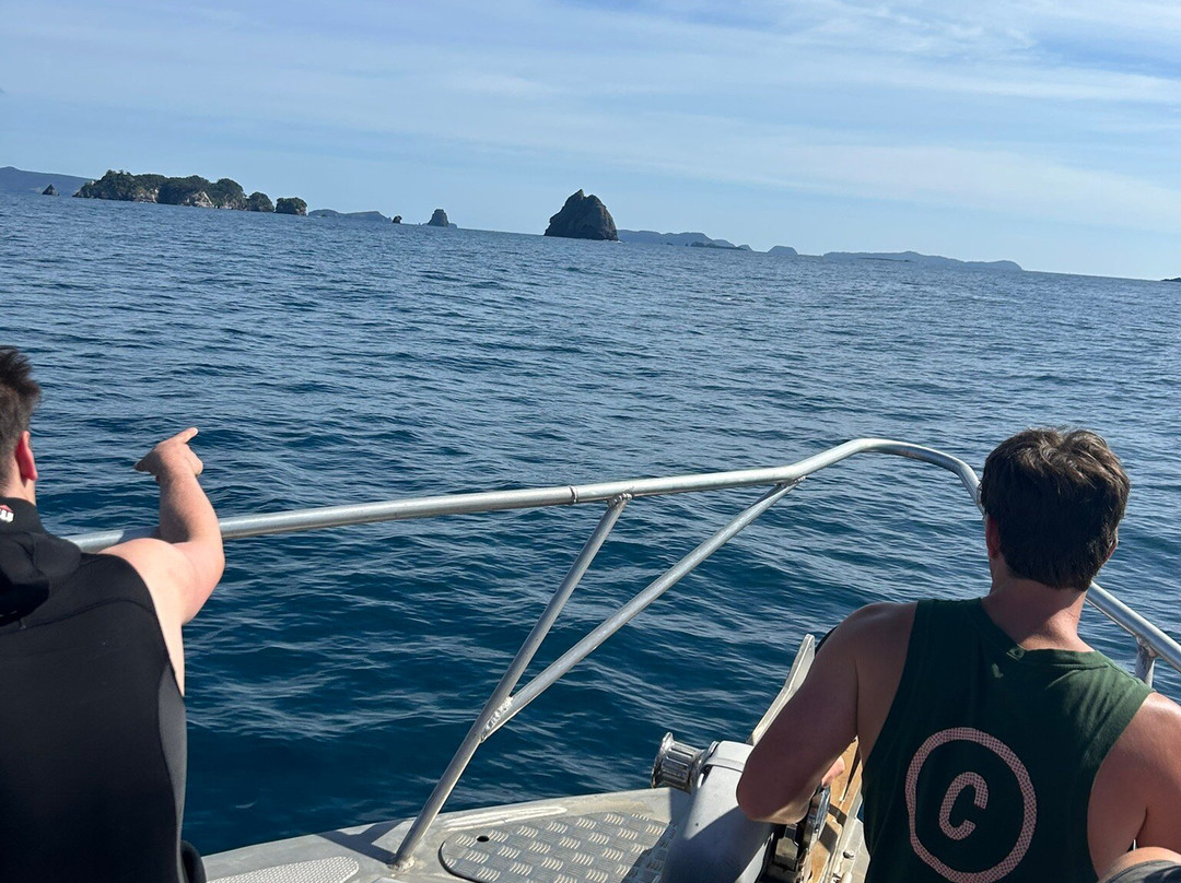 Dive Zone Whitianga-菲蒂昂格必去景点