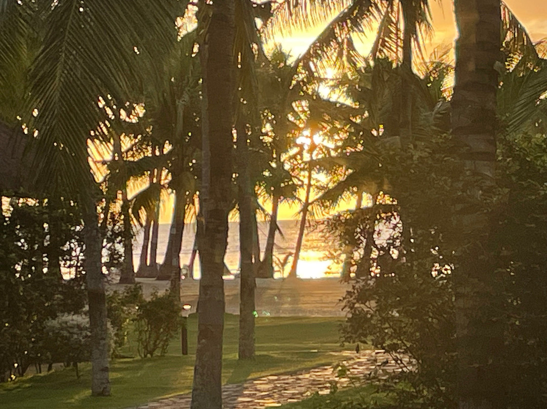 薄荷海滩俱乐部酒店主图