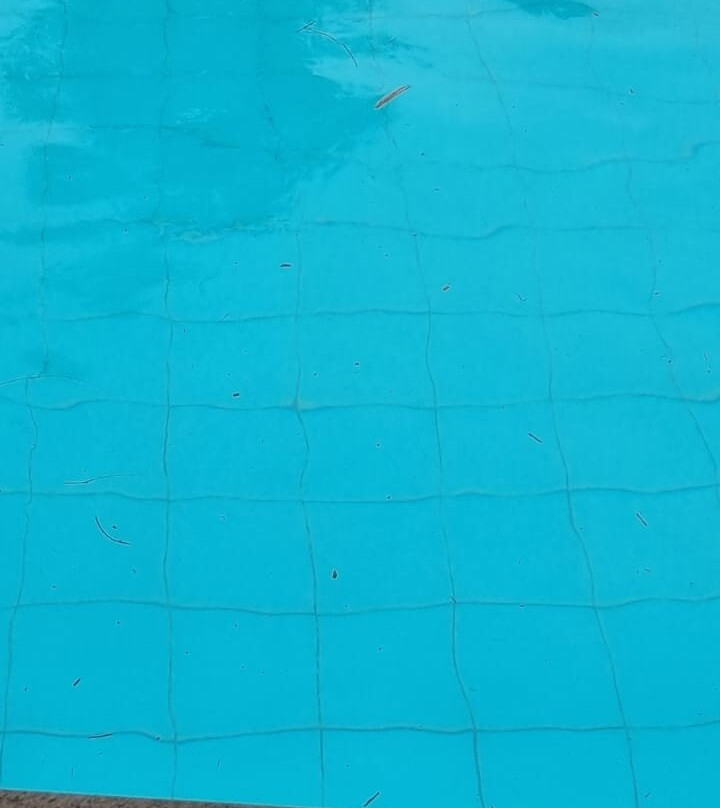 Hotel D'Anatureza主图