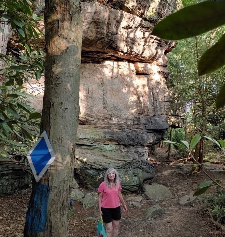 Coopers Rock State Forest景点图片