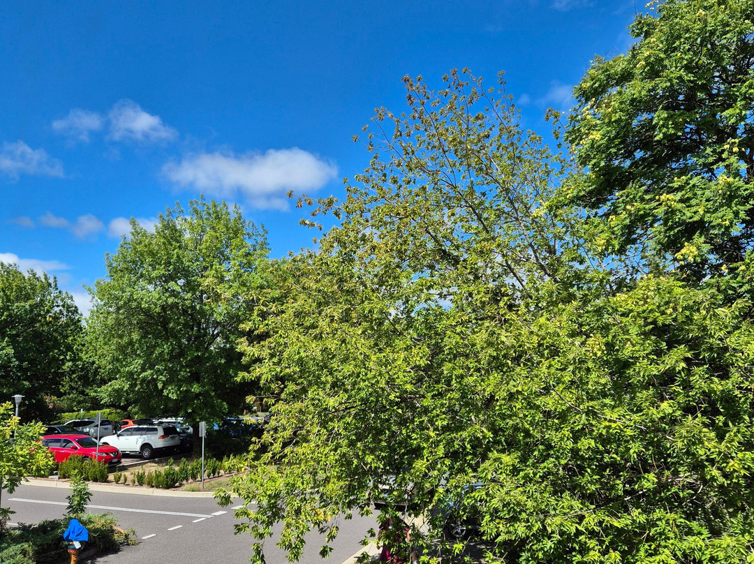 堪培拉布拉思酒店主图