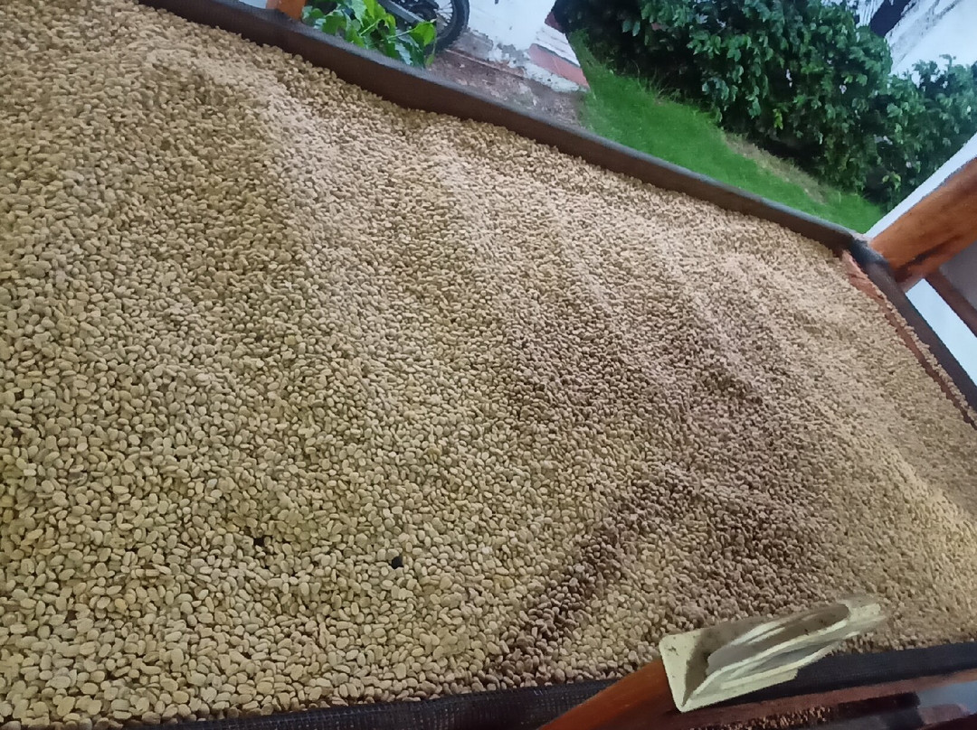 Vilcaroma Coffee景点图片