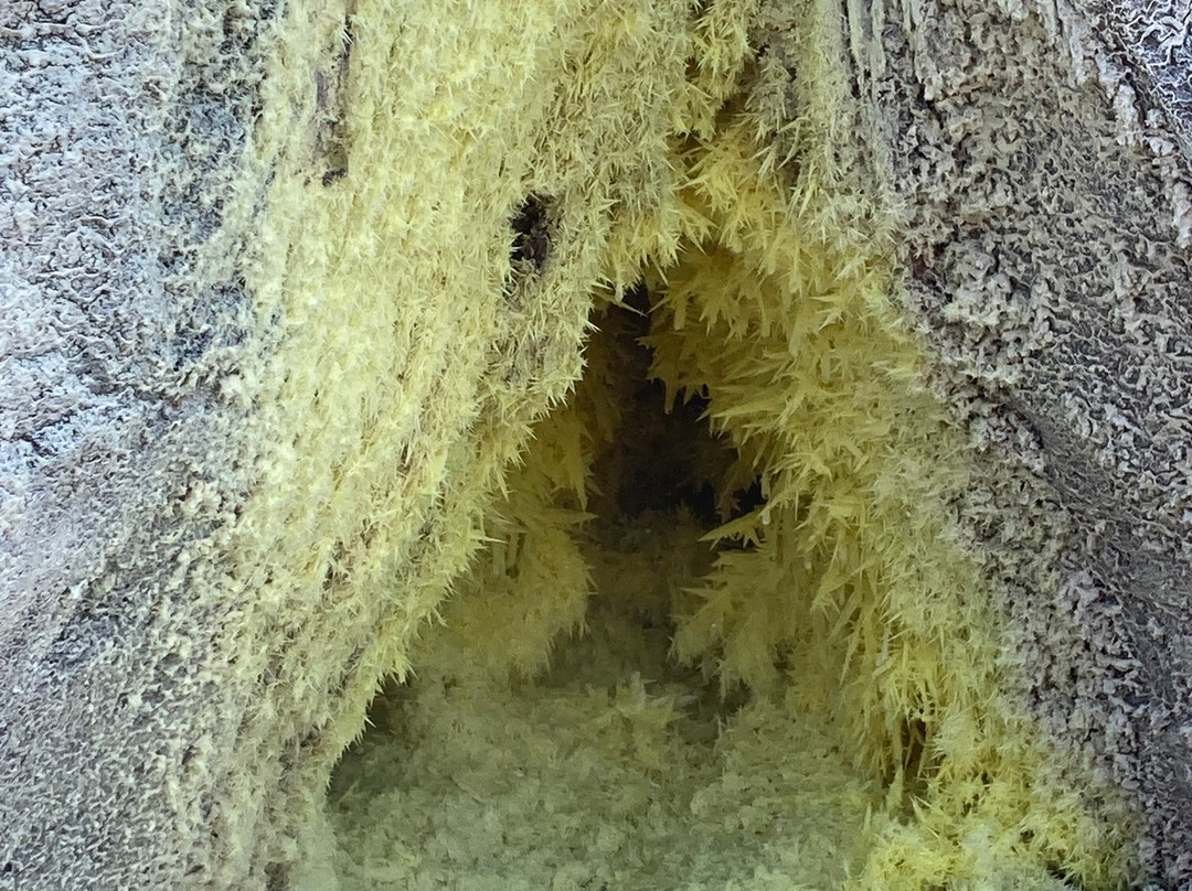 Symbiose Caraibes-Saint-Claude必去景点