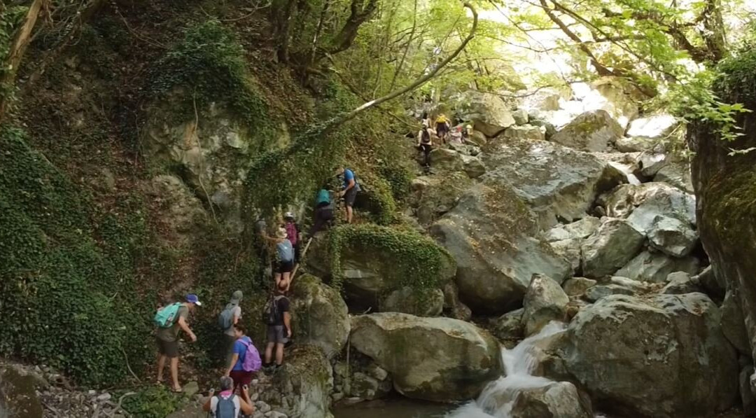 Irene's Healthy Life-Pallini必去景点