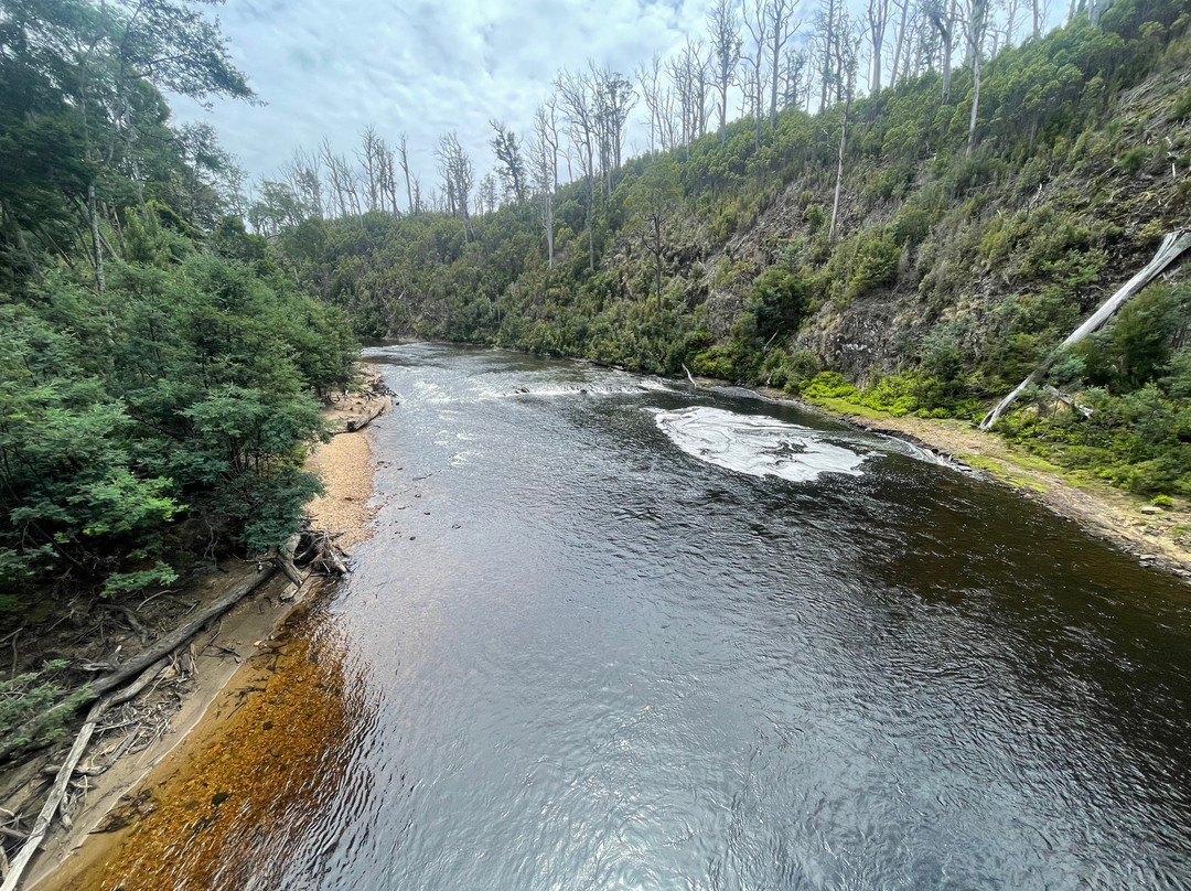 The Tarkine Drive景点图片