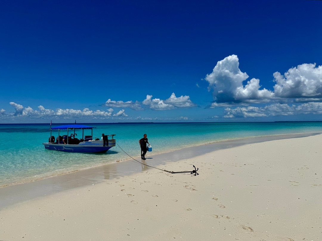 Dive Planet Mafia Island景点图片