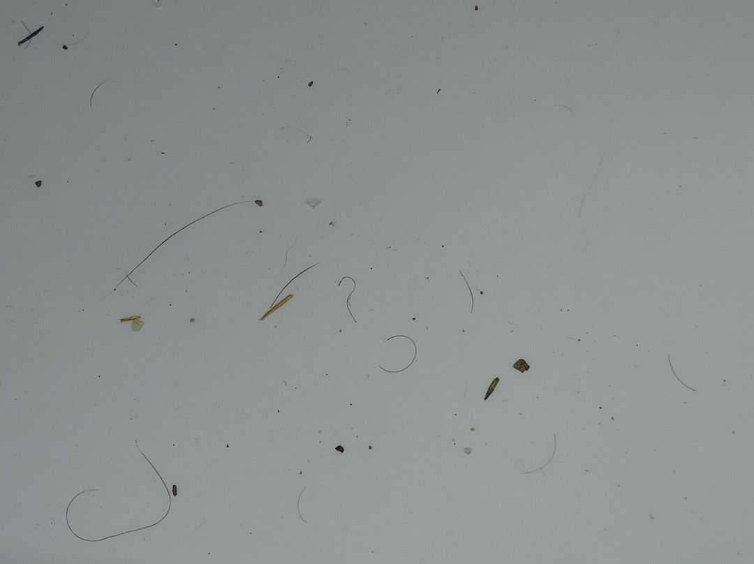 Red Roof PLUS+ Columbus Dublin主图