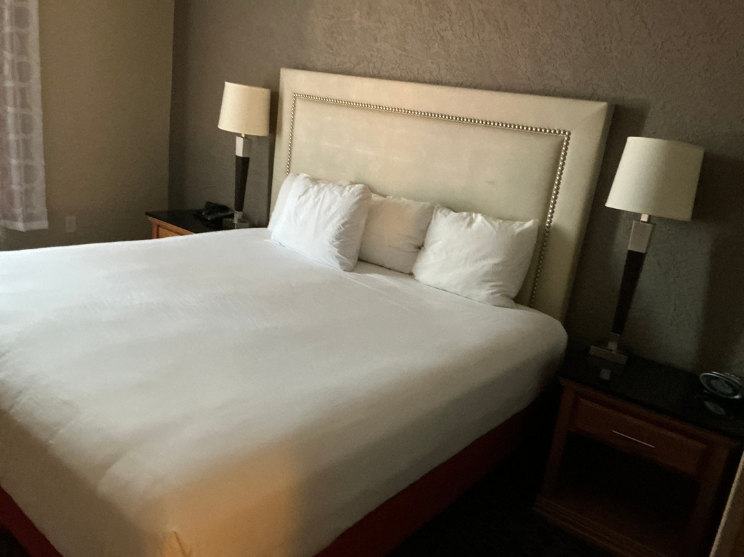 Drury Inn & Suites Amarillo主图