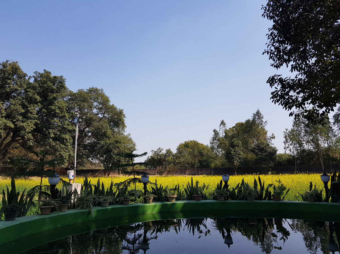 Koko's Farm-拉克瑙必去景点