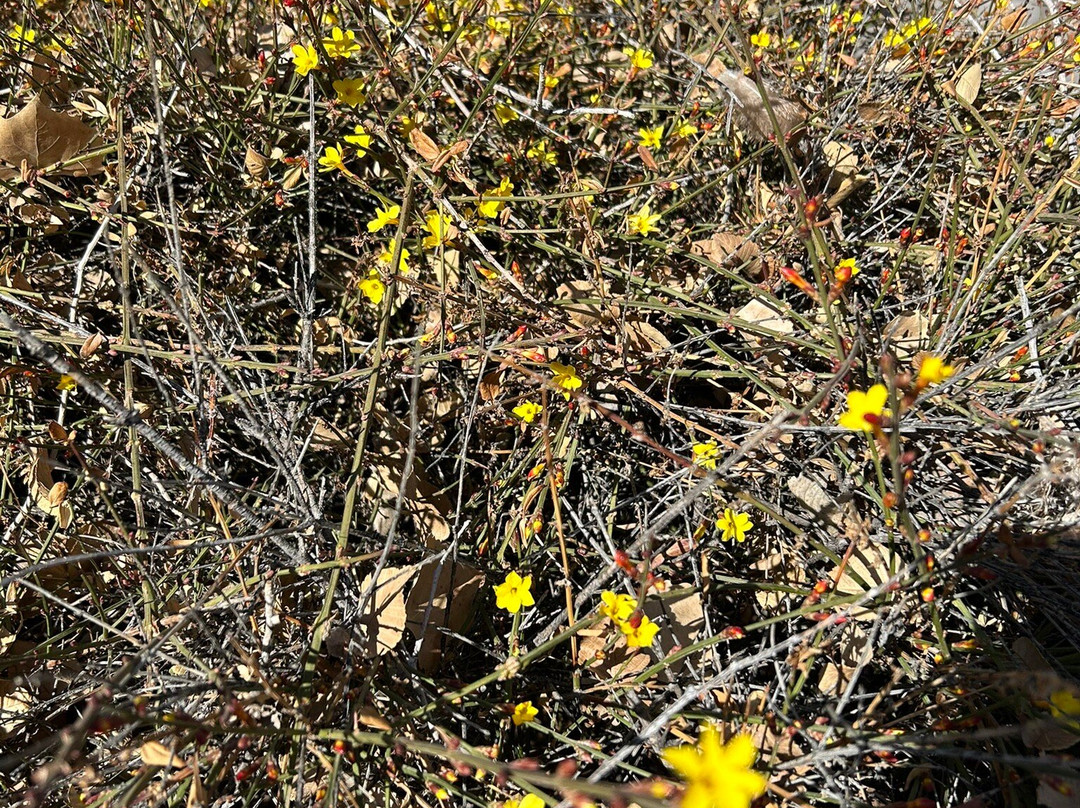 ABQ BioPark Zoo-阿尔伯克基必去景点
