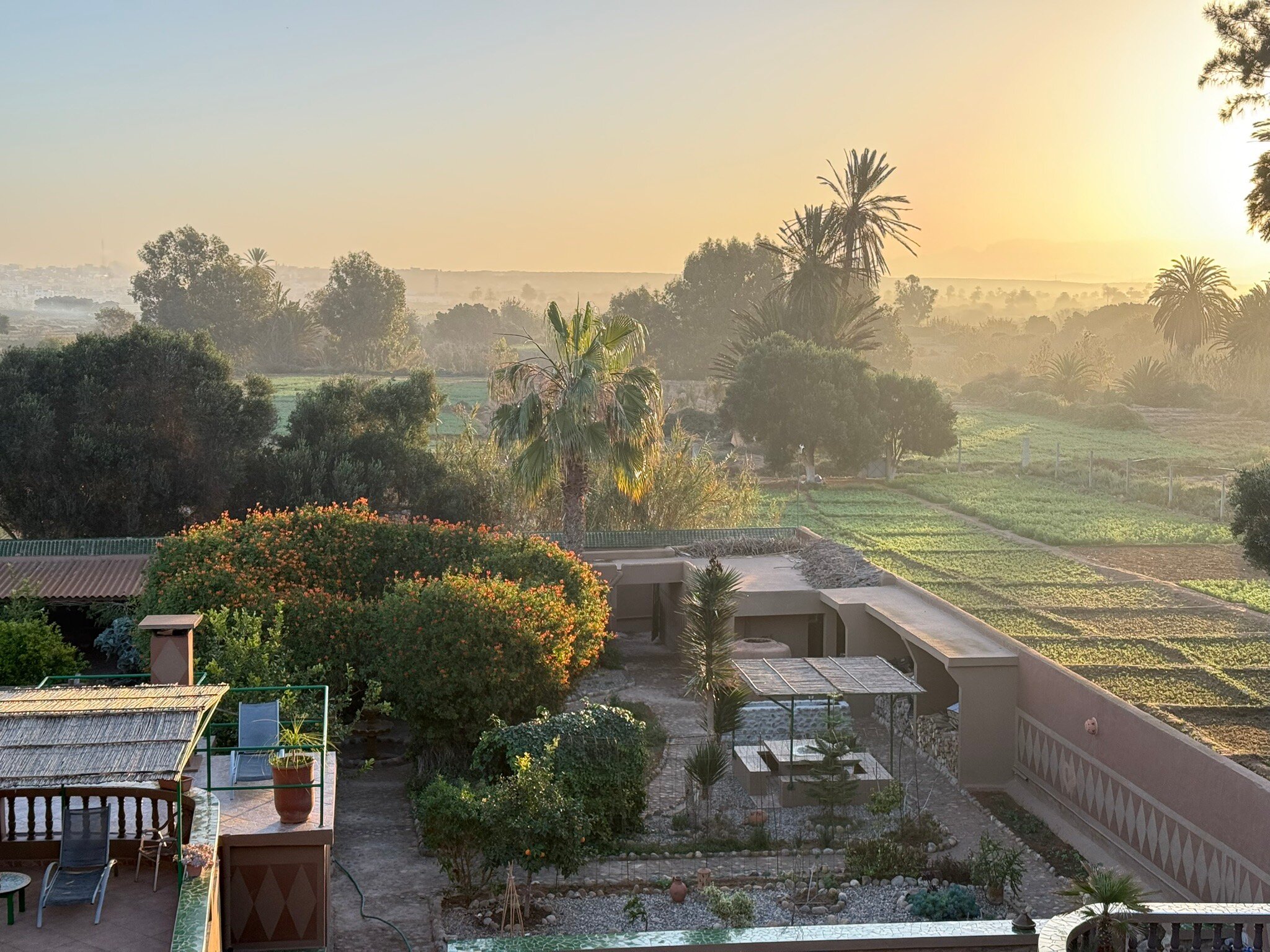 La Palmeraie de Massa-官方