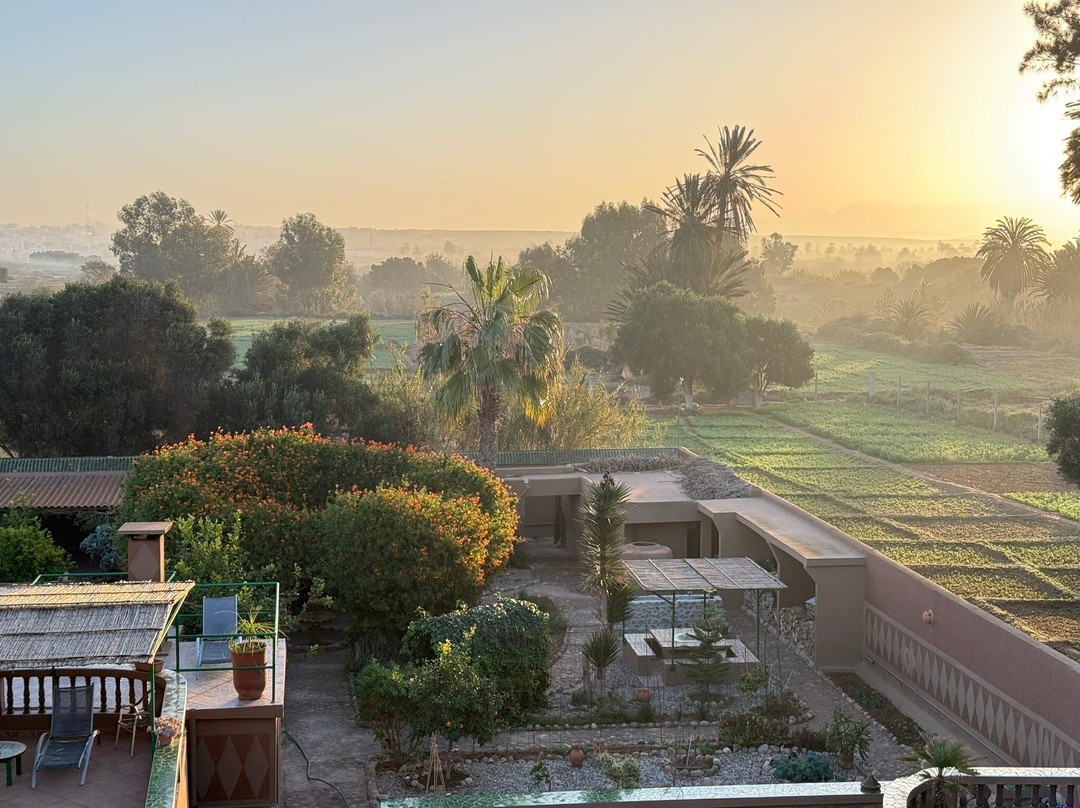 La Palmeraie de Massa主图