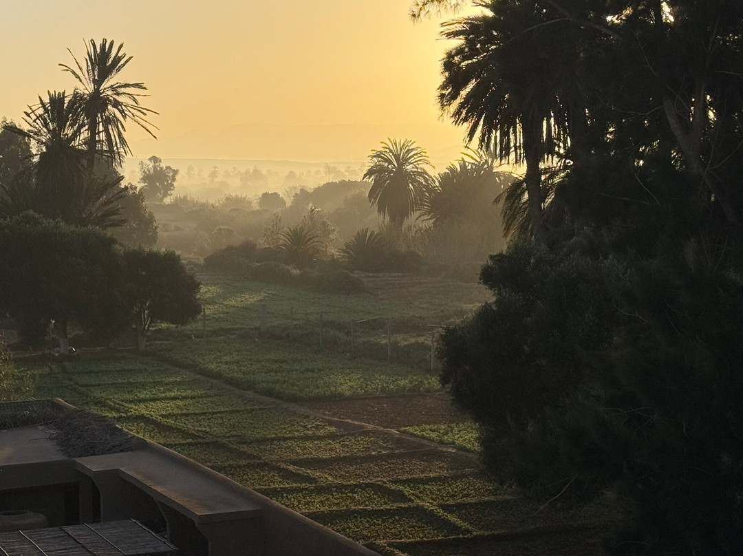 La Palmeraie de Massa主图