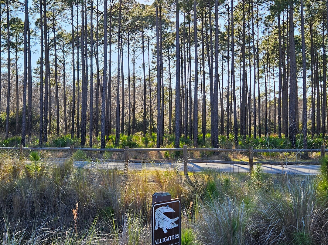 Conservation Park-巴拿马城海滩必去景点