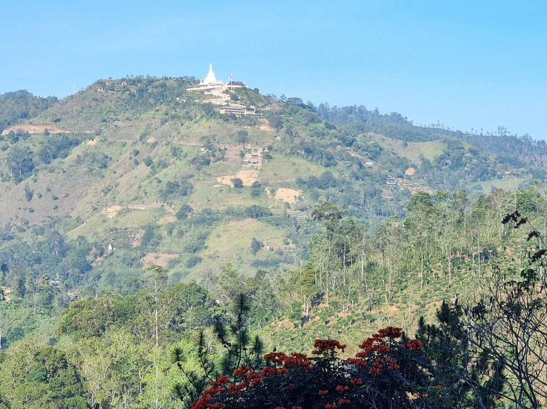 Suriya Lanka Travels-尼甘布必去景点