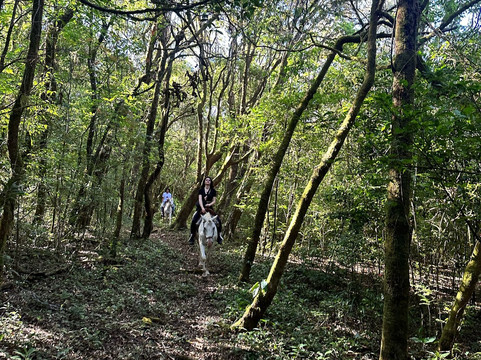 Finca Las Huacas-波魁特必去景点