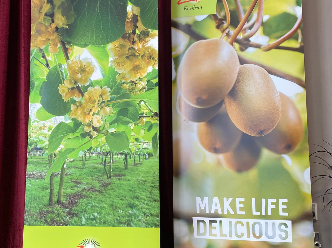 Kiwi Fruit Country Tours-陶兰加必去景点