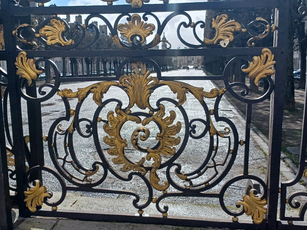 Place de la Carrière景点图片