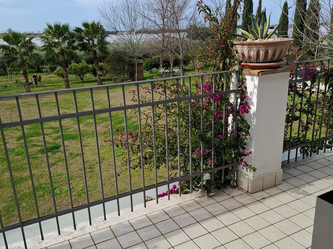 Bed & Breakfast Radici24主图