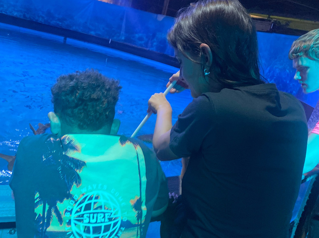 Branson's Wild World-布兰森必去景点