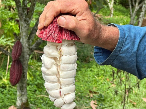 Colombia Autentica-圣玛尔塔必去景点