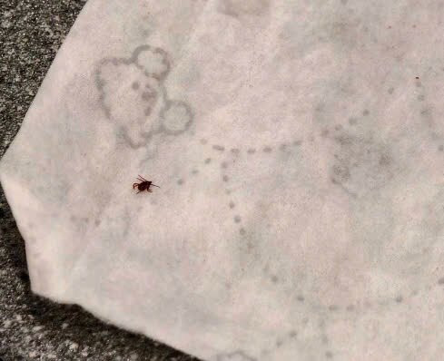 Yang Sing Hotel主图