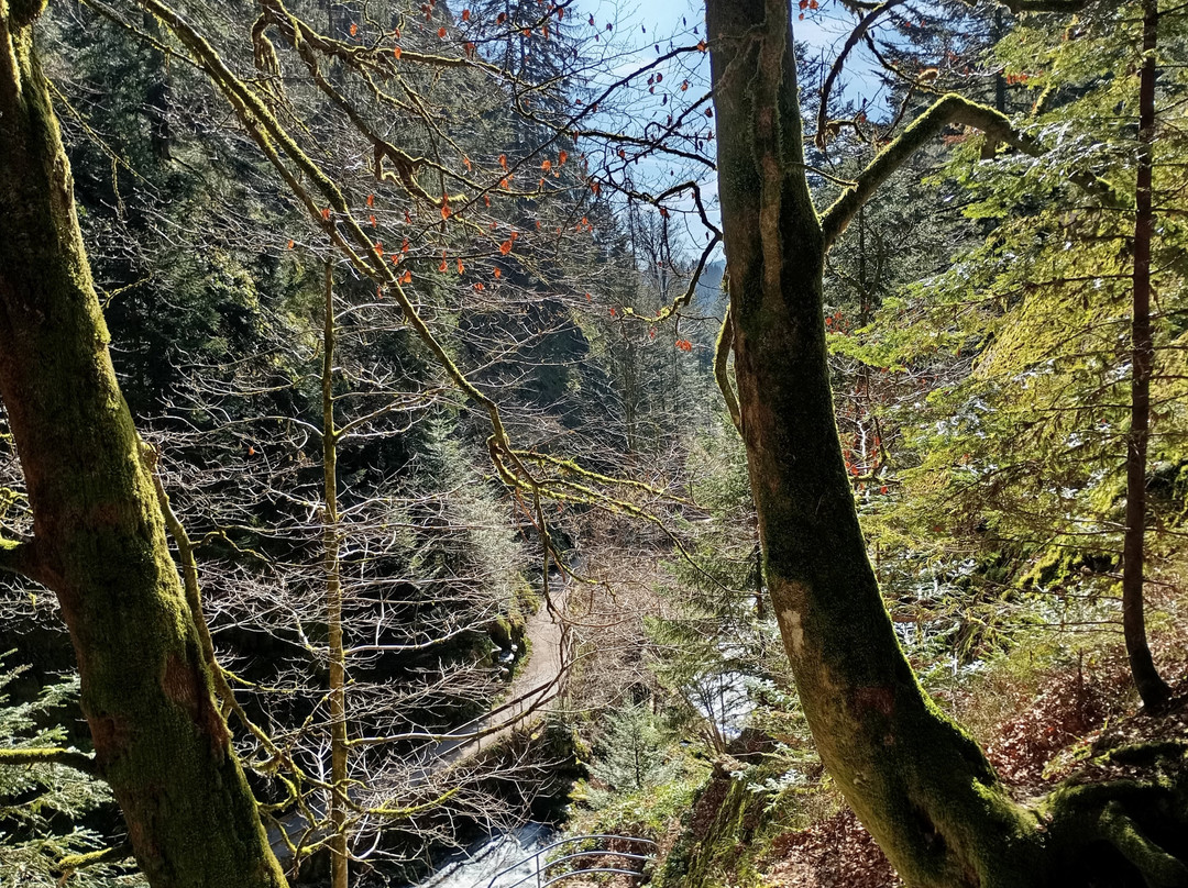 Allerheiligen Wasserfalle景点图片