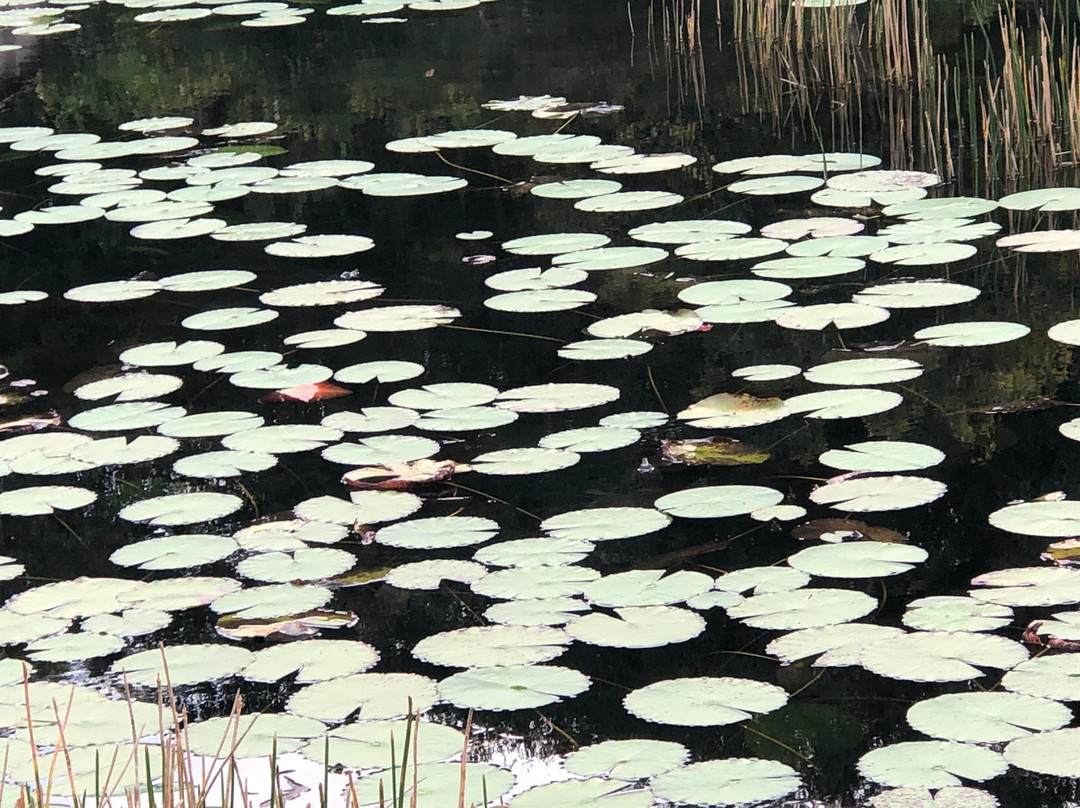 Long Key Natural Area & Nature Center景点图片