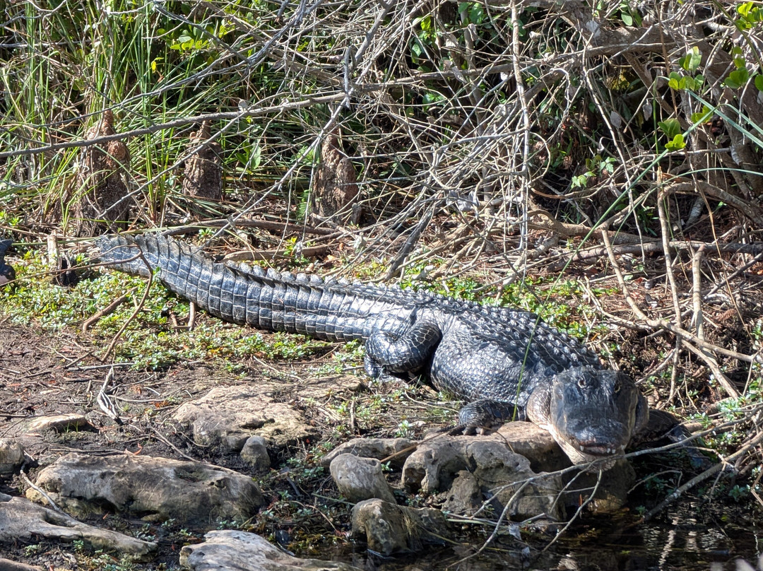 Loop Road-奥乔皮必去景点