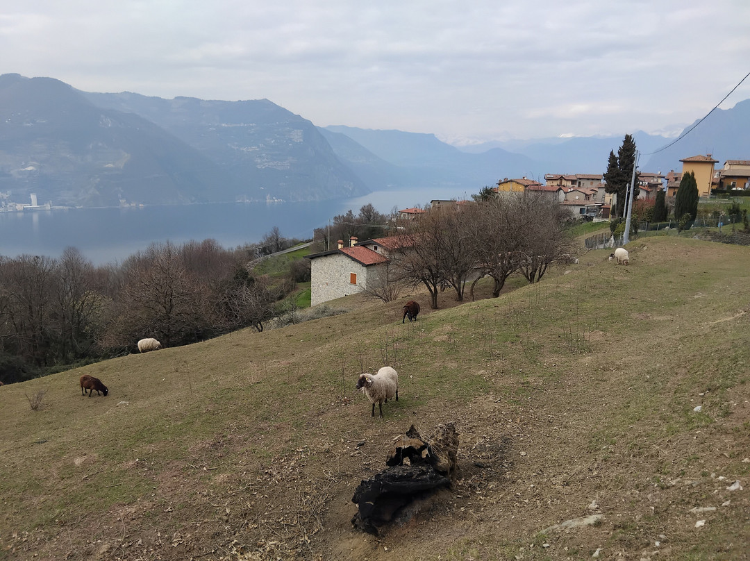 Hiking Trail to the Sanctuary of the Madonna della Ceriola景点图片