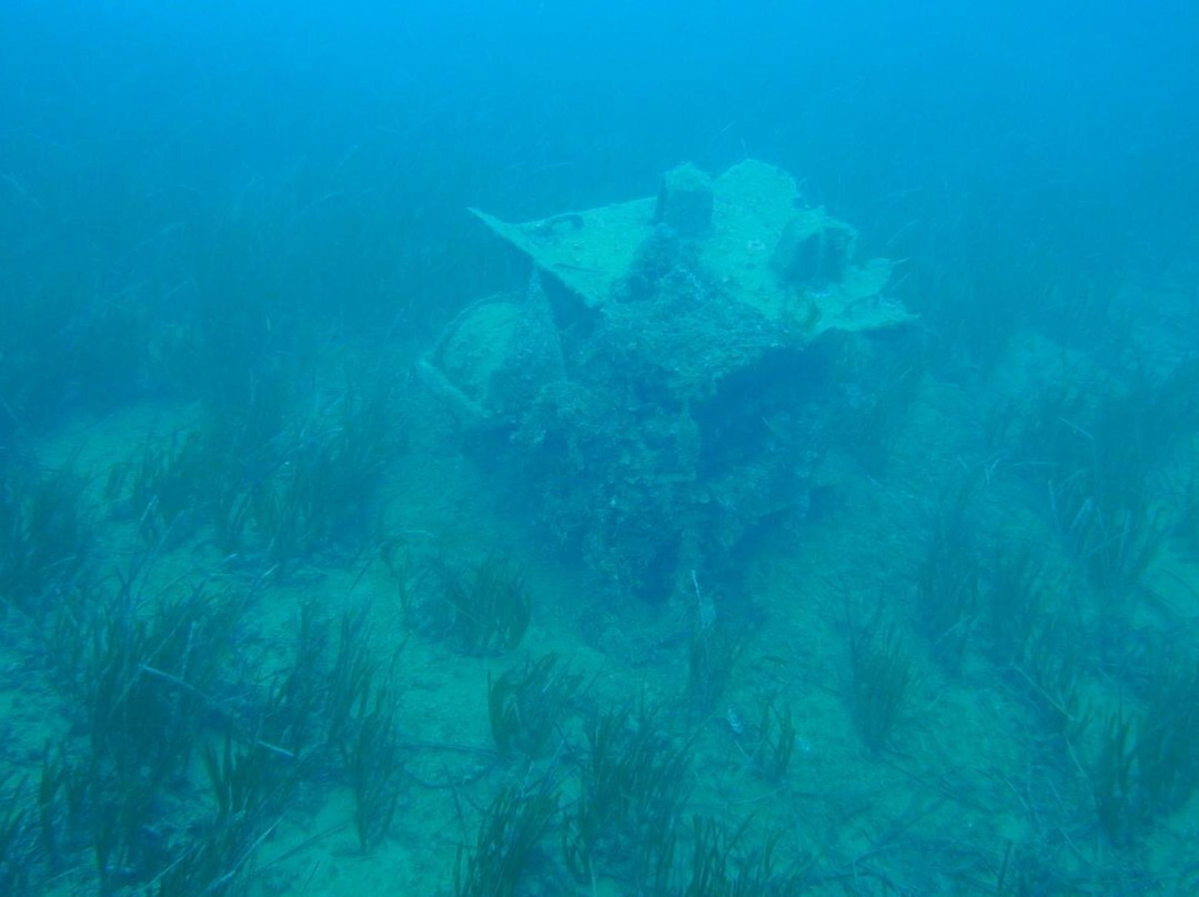 Diving Yoghi景点图片