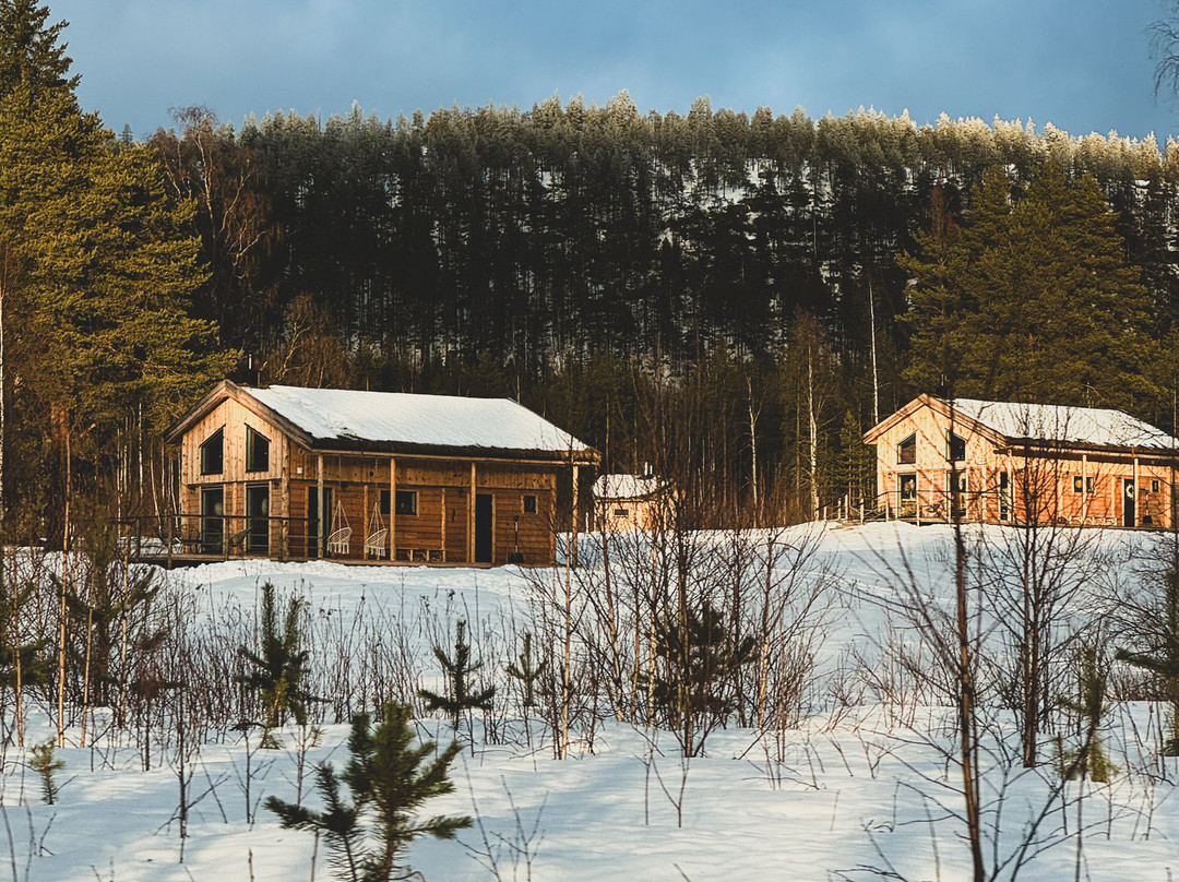 Blueberry Lodge Tours and Activities景点图片