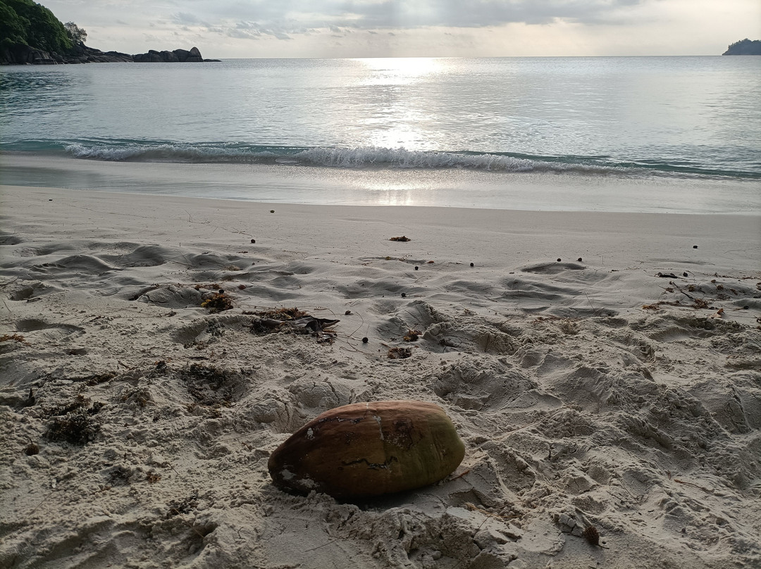 Takamaka Green Village