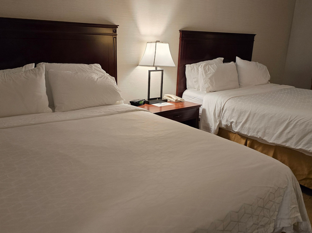 布洛克威尔智选假日酒店主图